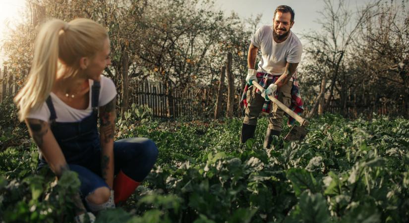 Ez a 7 jel árulkodik arról, hogy a talajodnak több mikroorganizmusra van szüksége