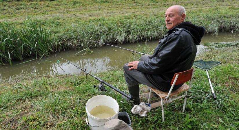 Visszatért az élet a Kapos folyóba a korábbi szennyezés után – gyönyörű ponty került a szákba Kaposváron