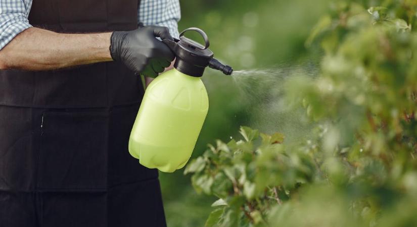 A Nébih figyelmeztetett, permetezés előtt ezt mindenképp ellenőrizze