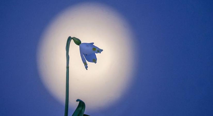 Amikor a világ egyensúlyba kerül