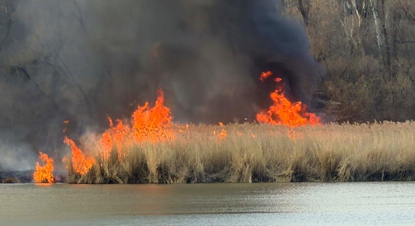 Tűzgyújtási tilalom van két északi vármegyében