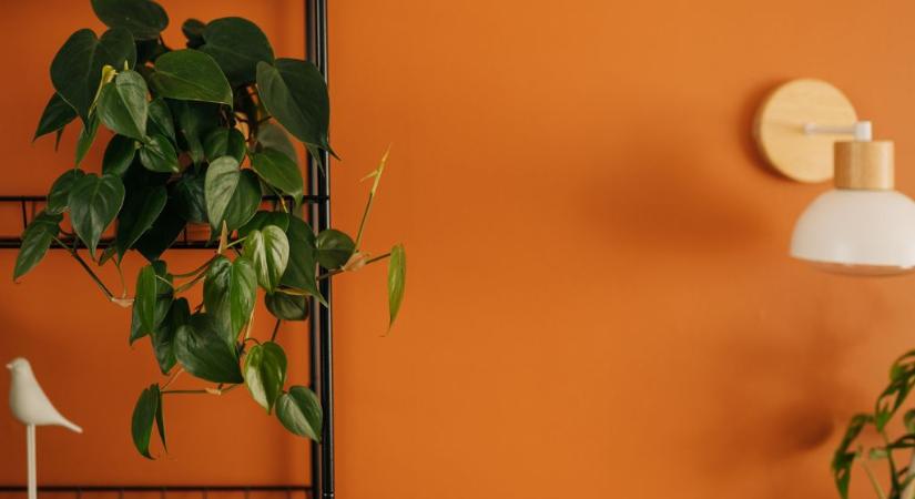 Éjjeliszekrény helyett: ez az új trend, amit egyre több hálószobában láthatunk majd