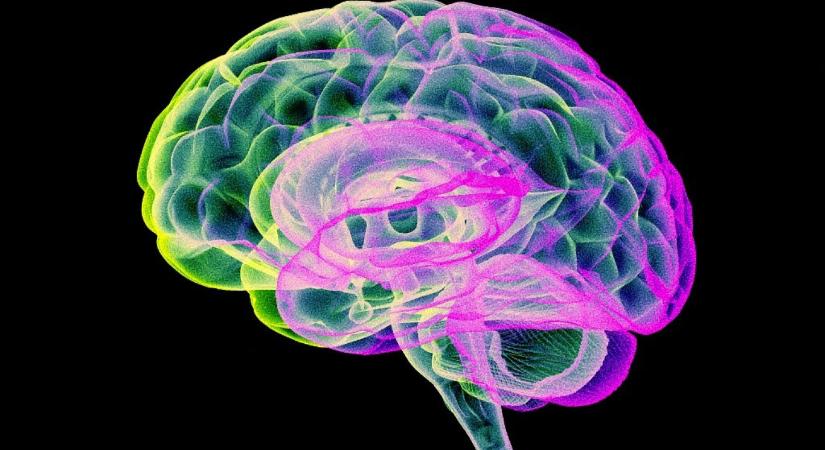 Kína engedélyezte a világ első, bénulás kezelésére alkalmas agyi implantátum klinikai használatát