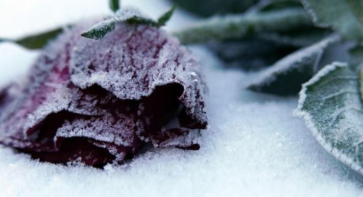 Januári lélekbúvárkodás