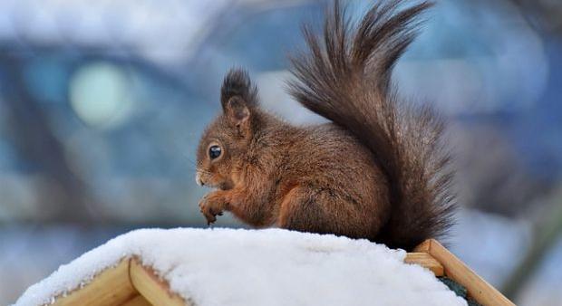 Csináld úgy, hogy ne a fagy győzzön!