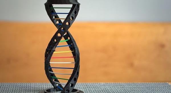 Amit tovább adunk a gyerekeinknek – a géneken innen és túl