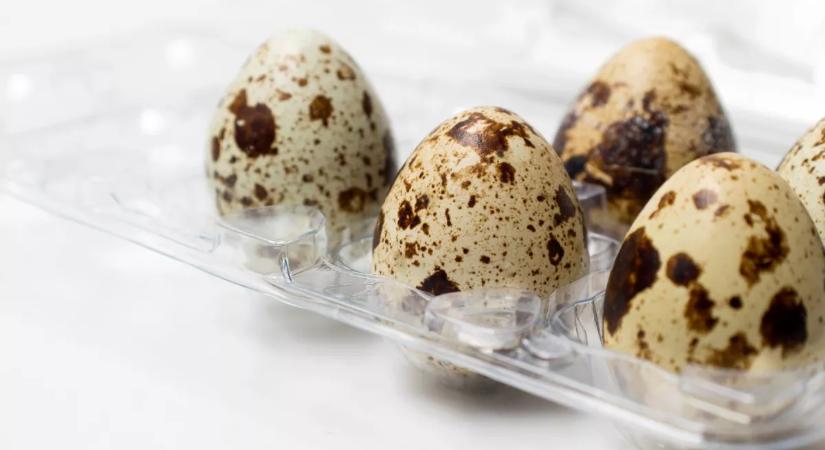 5 ok, amiért kerülni kell a fürjtojást