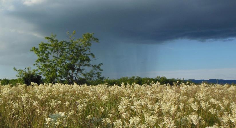 „A vihart a napsütés váltotta fel.”  Áldozatsegítő közösségi fotópályázatunkra várunk képeket és történeteket