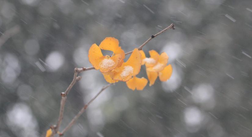 Márciusi havazás! Visszatér a tél? Mutatjuk a videót