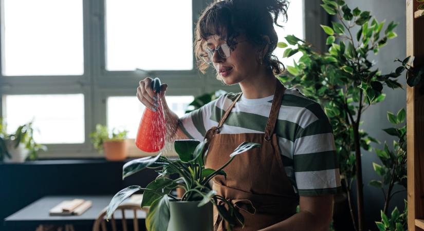 Öntözési kisokos kezdő kertészeknek – hogy végre ne locsold túl a növényeidet