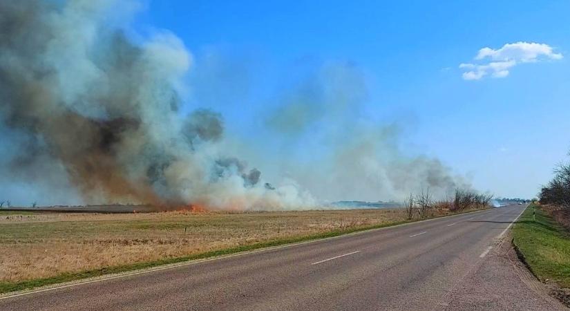 85 focipályányi terület égett le Hevesben