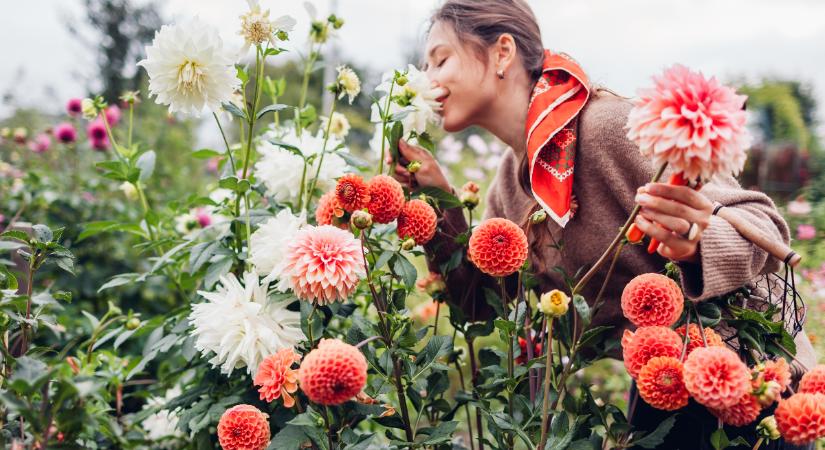 Napi horoszkóp 2026. március 18: a Jupiter szerencsés fordulatokat hoz