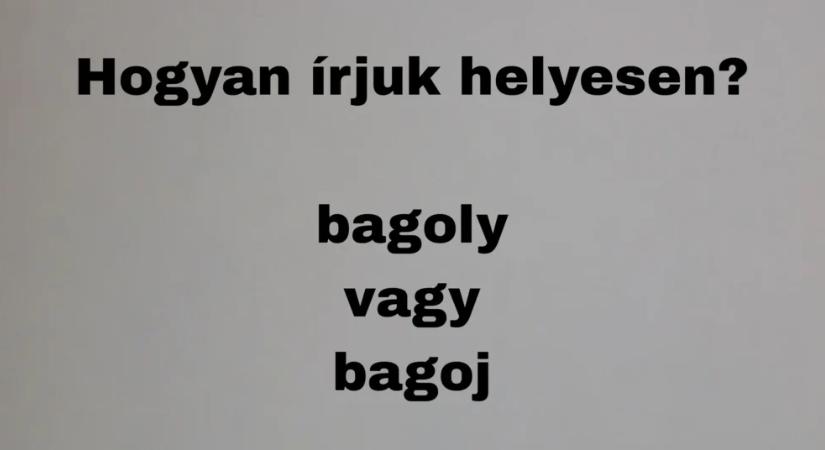 Helyesírás feladvány: Melyik megoldás a helyes?