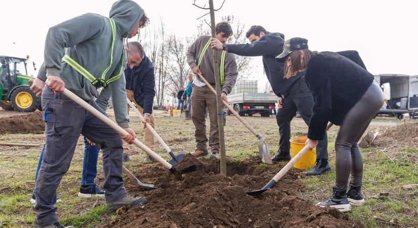 Véderdő és ligetek: így zöldül Debrecen a következő években! – fotókkal, videóval