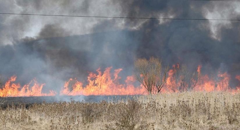 Több hektáron ég a nád Kisvárdán – a tűzoltók a lakóházak védelmét is biztosítják