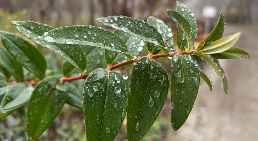 Kettős arcát mutatja majd az időjárás – mutatjuk, mi vár ránk a Jászkunságban