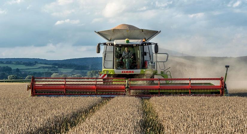 Piaci jelentés: akkora súly húzza a gabonatermelőket, amivel nehéz a felszínen maradni