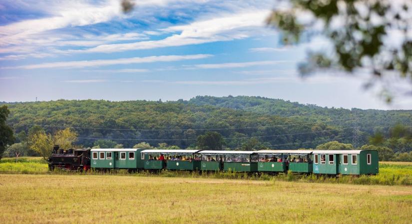 Nyulak, őzek, szarvasok mellett halad a vonat – ilyen utazás kevés van az országban
