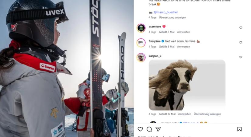 "Kiütéses győzelem" az istállóban: egy mozdulattal lenullázta a síző szezonját ez a tehén