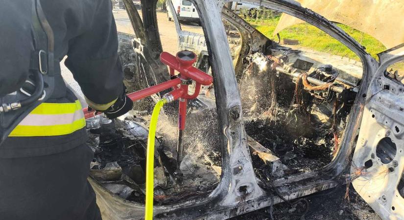 Nem mindennapi jelenet játszódott le Ócsán