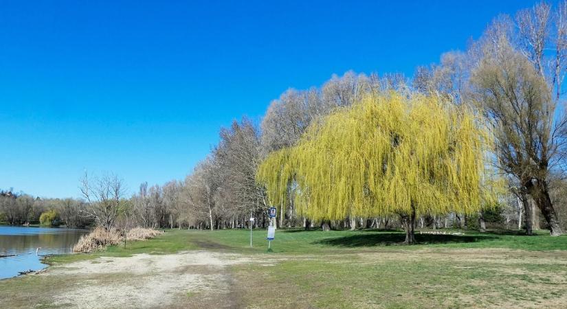 Esővel riogat a reggel, de megérkezik a napsütés