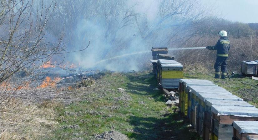 Száz négyzetméteren lángol az aljnövényzet Kaposszerdahelyen