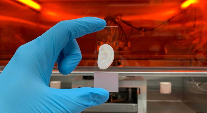 Tudományos áttörés: élő sejtekből készítettek egy bonyolult emberi testrészt