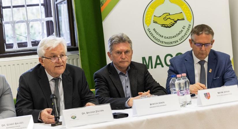 A Neszmélyi borvidéktől a tatai halakig: a jövő került a középpontba a MAGOSZ-fórumon