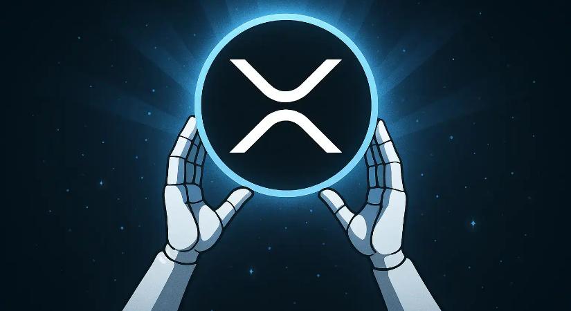 Az XRP Ledger aktivitása öthetes csúcson, 7,7 millió fölött a tárcák száma