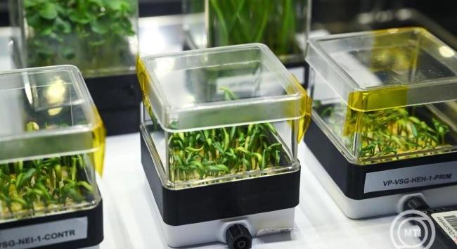 Hazatértek az első magyar űrnövénykísérlet mintái Debrecenbe