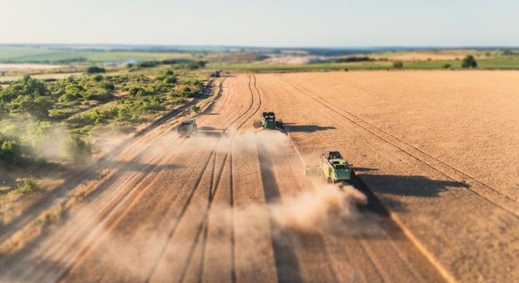 Tarolt az EU agrárkereskedelme 2025-ben