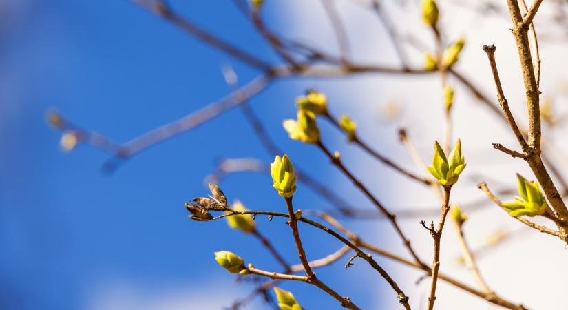 Néhány nap, és végre hivatalosan is megérkezik!