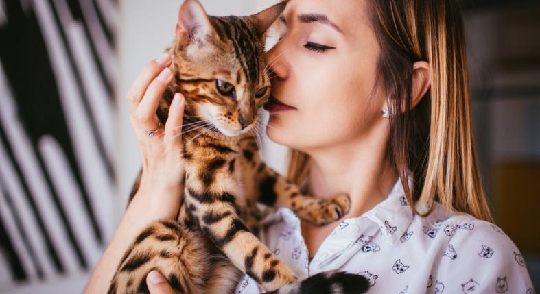 A macskád gyakran hozzád dörgöli a fejét? Nem véletlenül csinálja