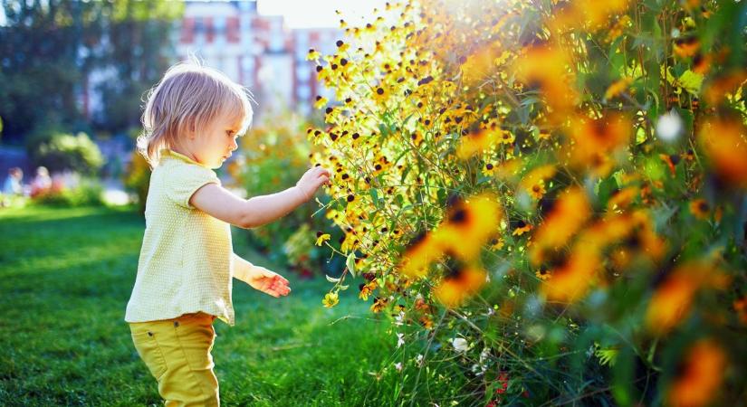 Szerdán ismét visszaköszön a tavasz