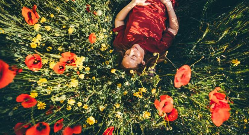 A kos elsimít egy konfliktust, a szűznek vág az esze: napi horoszkóp szerdára