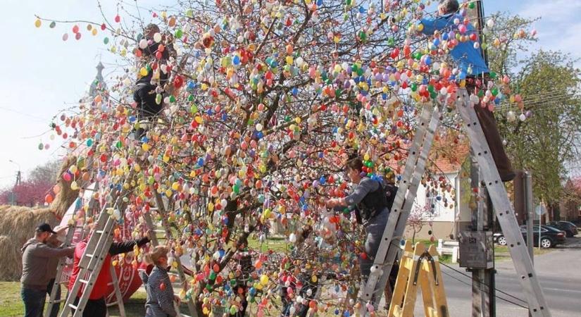 Díszítsük fel együtt a falu tojásfáját!