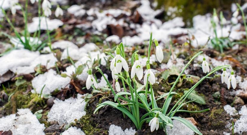 Csak semmi pánik, ismét havazott Magyarországon