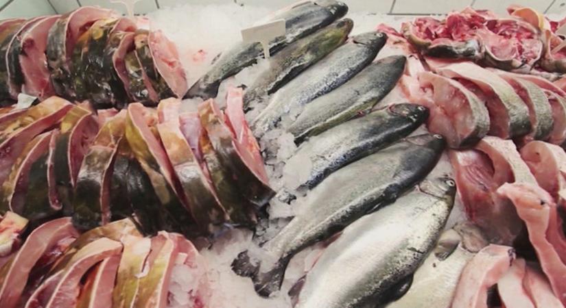 A halastavak élővilágának megőrzésére nyert támogatást egy szoboszlói vég