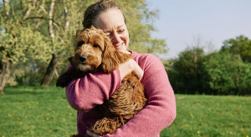 5 hiba, amit szinte minden kutyatartó elkövet tavasszal – Az egyik komoly bajt okozhat