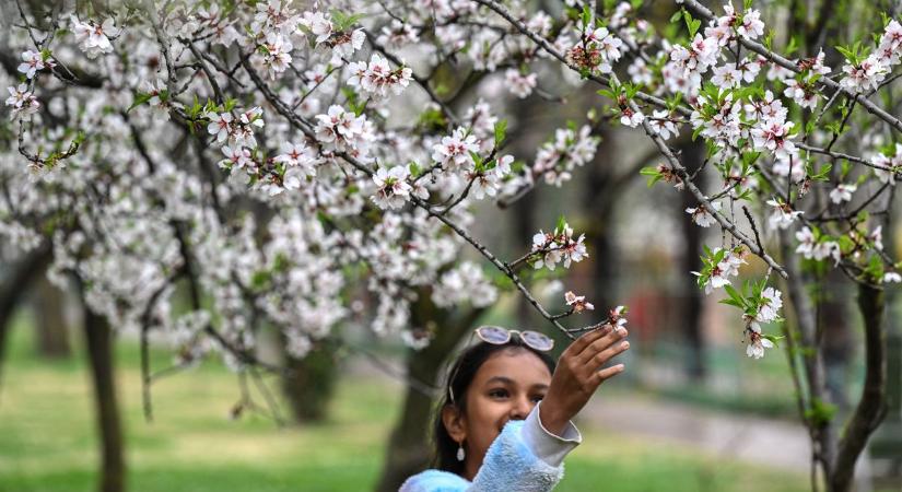 Senki ne dőljön be: épp csak egy pillanatra lélegezhetünk fel, utána jön a fekete leves