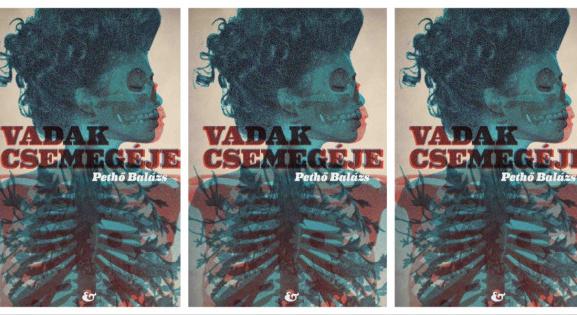 Budapestről Londonba a könyves szekerek kifosztásán át vezet az út – olvass bele Pethő Balázs új regényébe!