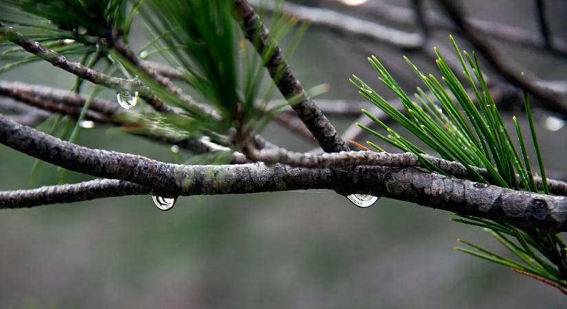 Hullámvasút az időjárásban – próbálkozna a tavasz, de valami közbeszól