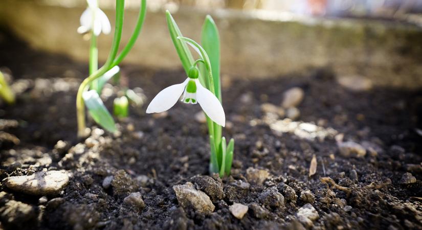 Sándor, József, Benedek: tényleg elhozzák nekünk a meleget?
