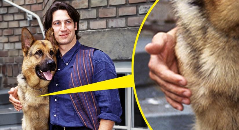 30 meglepő tény a Rex felügyelő című sorozatról, amely 32 évvel ezelőtt elnyerte a szívünket