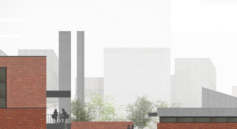 Micéliummanufaktúra a Mexikói úton - Füleky Dorottya diplomamunkája