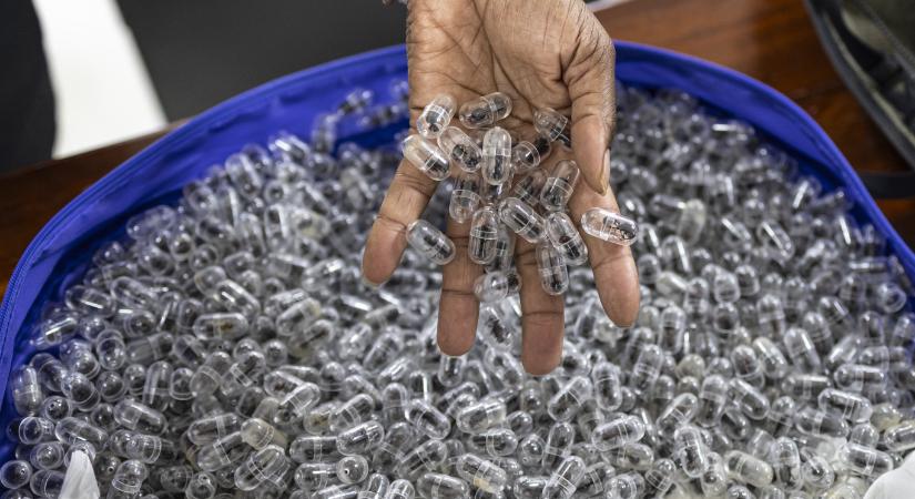 Kétezer, kapszulákba gyömöszölt hangyakirálynővel kapták el a kínai csempészt a kenyai nemzetközi repülőtéren