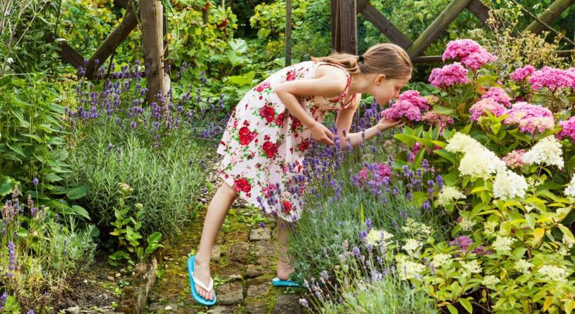 Szép, de veszélyes virágok a kertedben