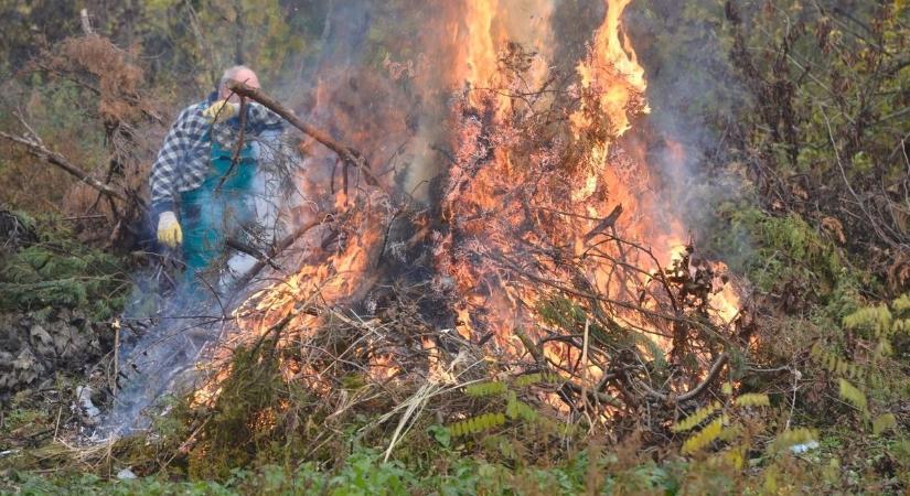 Gyorsan eldurvulhat egy ártatlan metszés, bármikor milliós bírság lehet a kerti túlkapásból