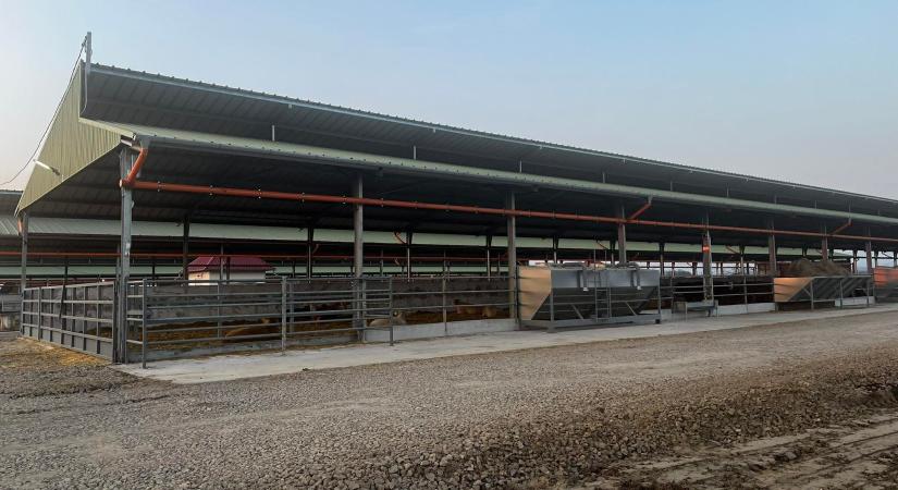 Holland milliárdoshoz került Süli János fiának uniós támogatással megtolt telepe