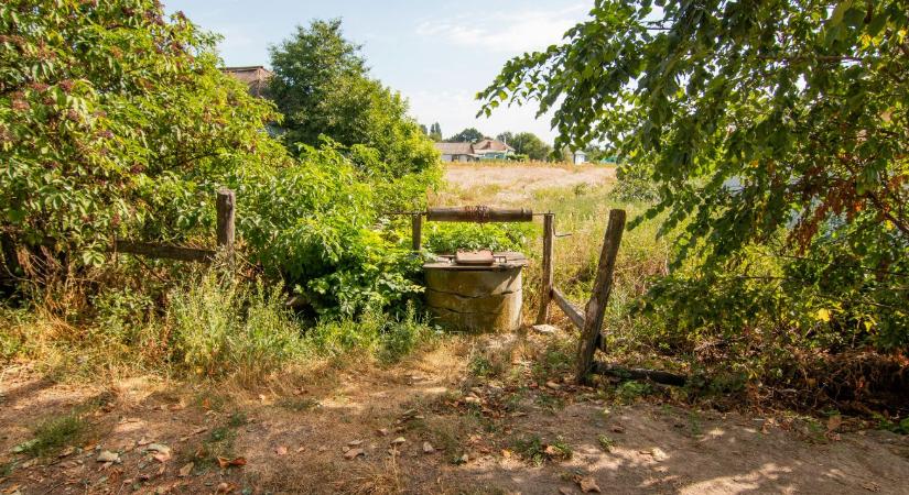 A kútamnesztia csapdája: miért válhat életveszélyessé a kert végi ingyen víz?